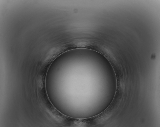 X0000089970311200707061206