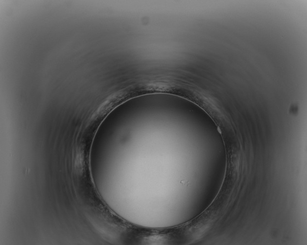 X0000089970312200707061206