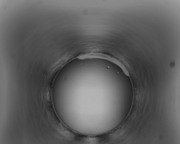 X0000089970313200707061206