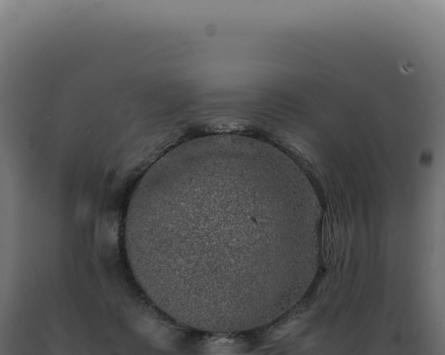 X0000089970315200707061206