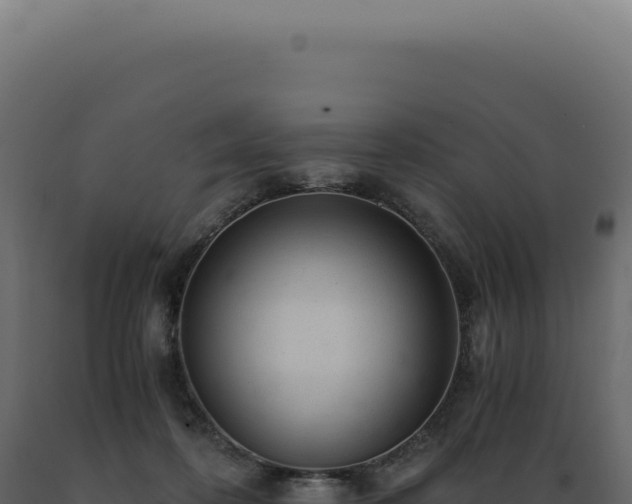 X0000089970316200707061206