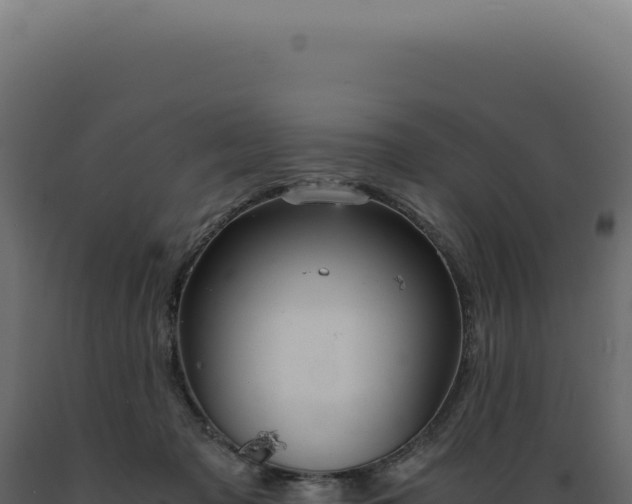 X0000089970317200707061206