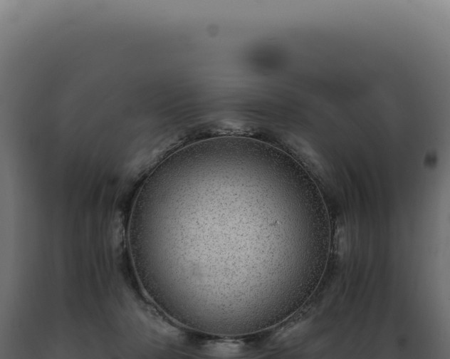 X0000089970318200707061206