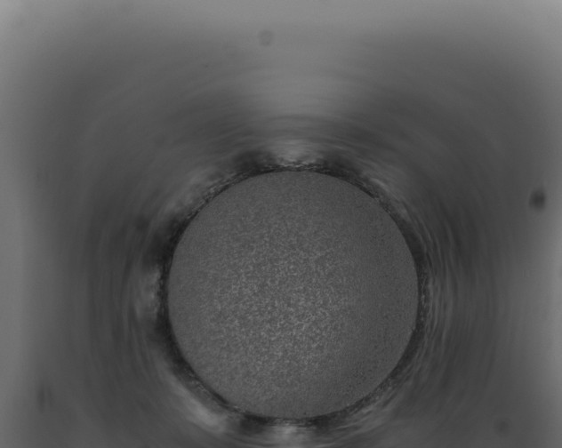 X0000089970319200707061206