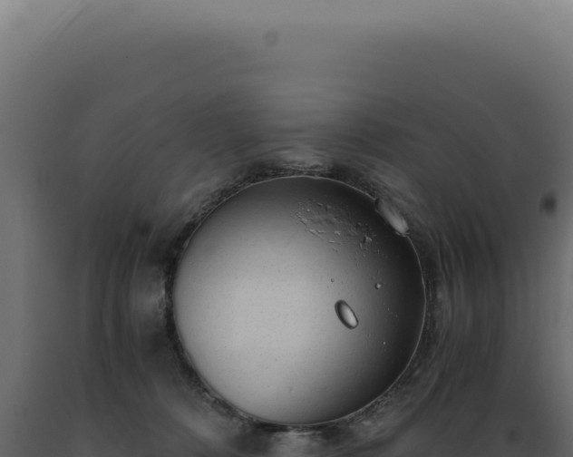 X0000089970320200707061206