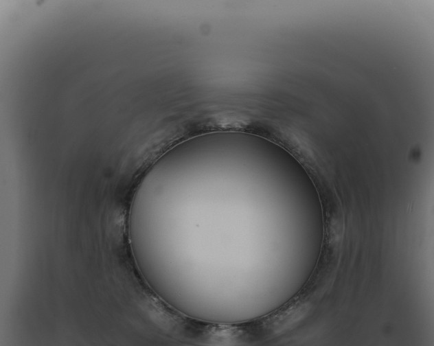 X0000089970321200707061206
