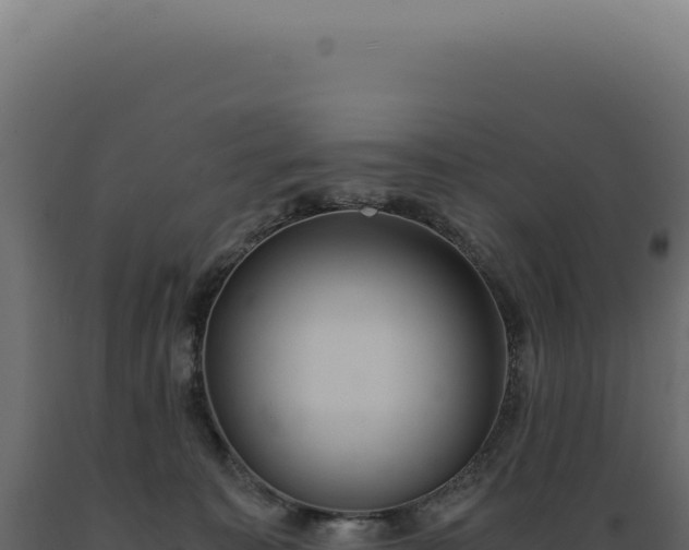 X0000089970323200707061206