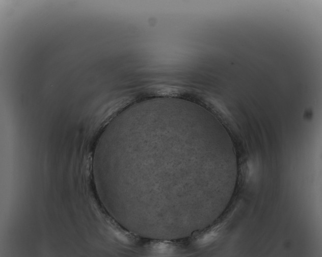 X0000089970325200707061206