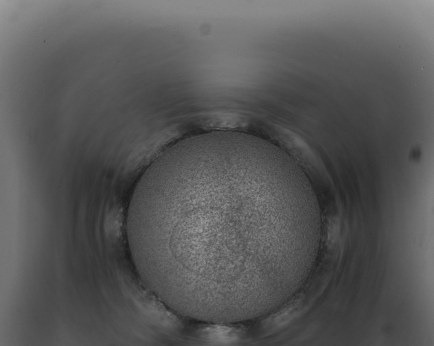 X0000089970326200707061206