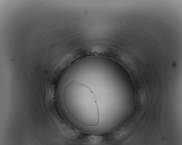 X0000089970328200707061206