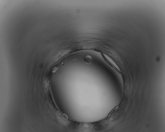 X0000089970329200707061206