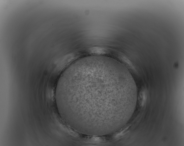 X0000089970330200707061206