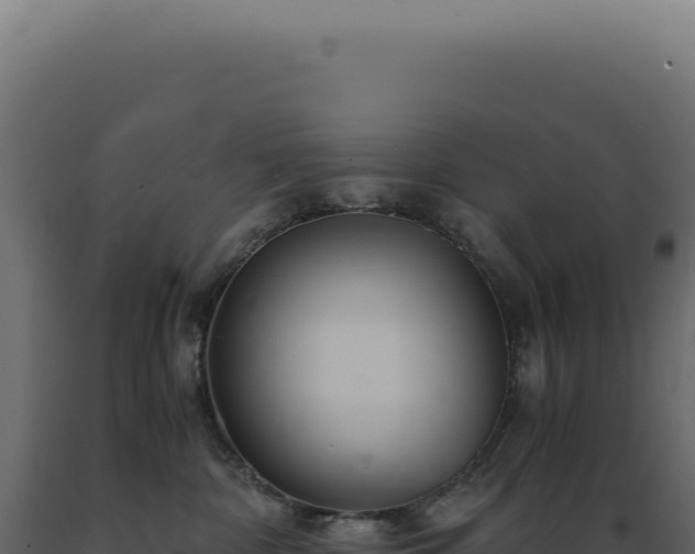 X0000089970332200707061206