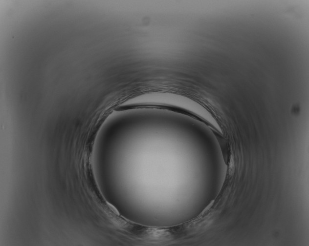 X0000089970333200707061206