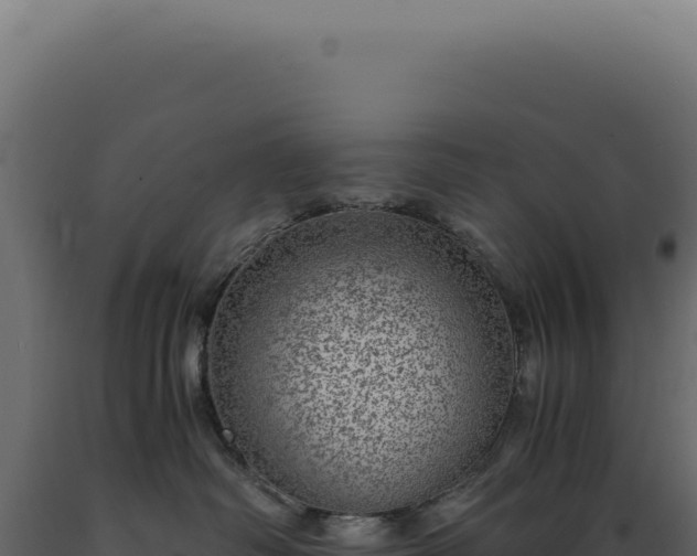 X0000089970334200707061206