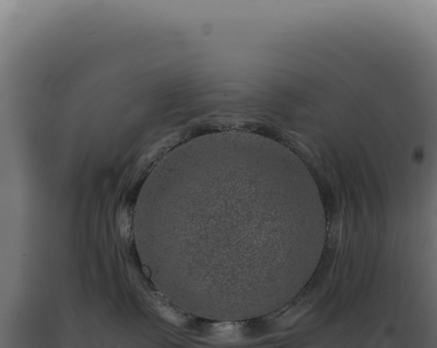 X0000089970335200707061205
