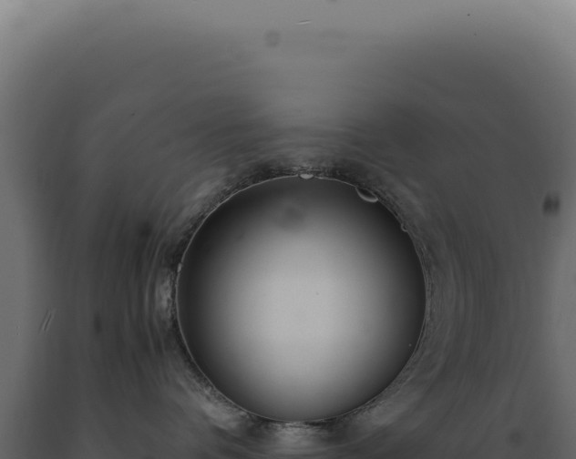 X0000089970336200707061205