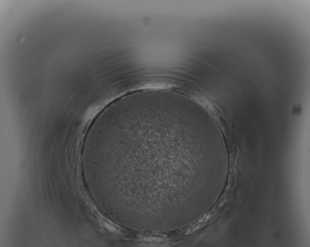 X0000089970337200707061205