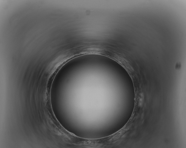X0000089970338200707061205