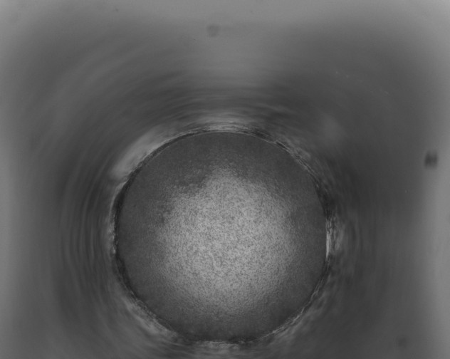 X0000089970339200707061205