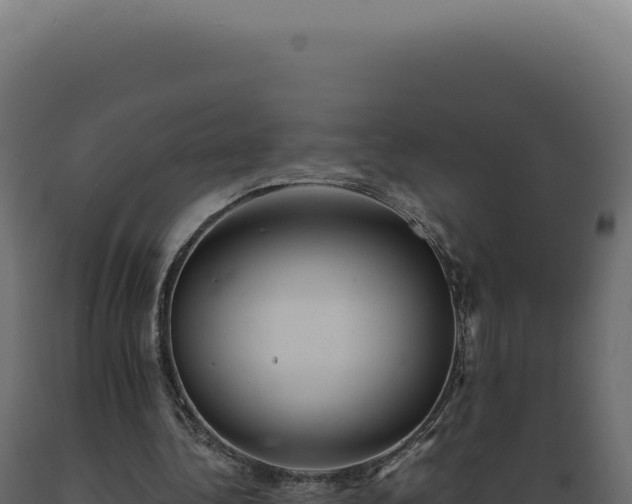 X0000089970340200707061205