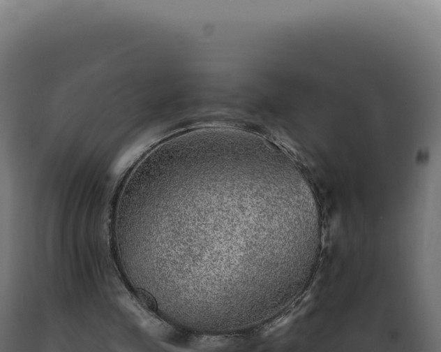X0000089970341200707061205