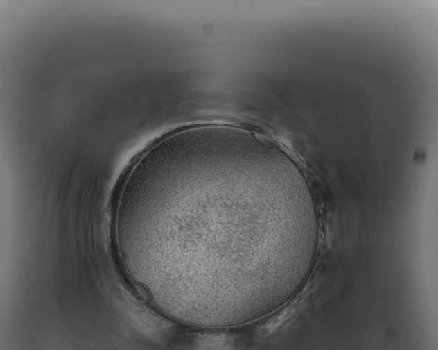 X0000089970342200707061205