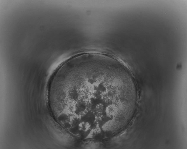 X0000089970343200707061205