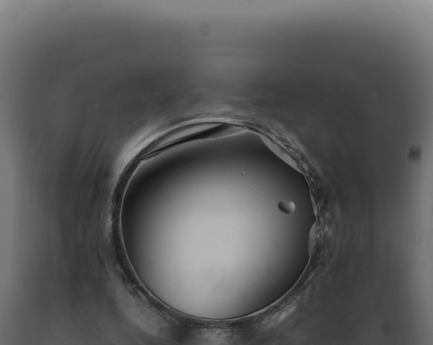 X0000089970344200707061205