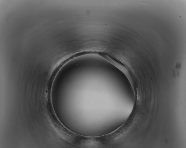 X0000089970348200707061205