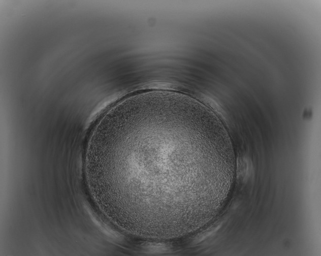 X0000089970349200707061205