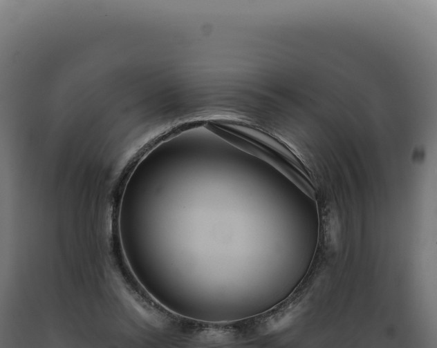 X0000089970350200707061205