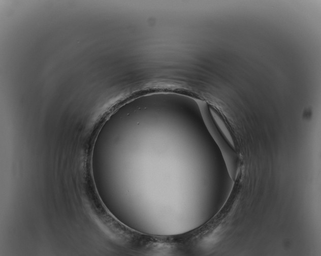 X0000089970352200707061205