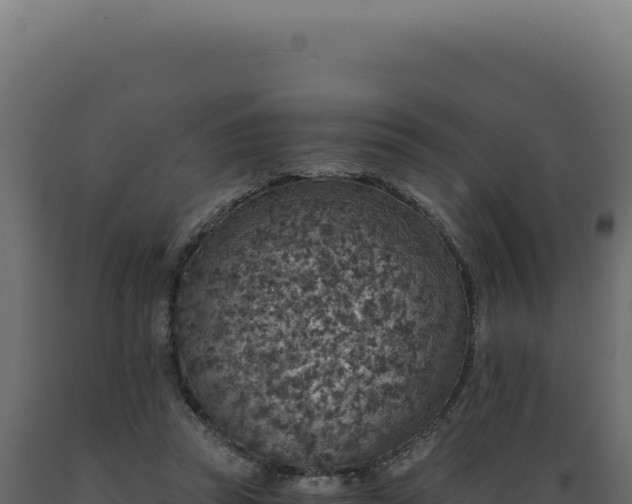 X0000089970353200707061205
