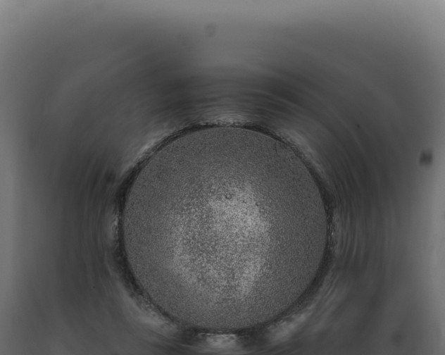 X0000089970355200707061205
