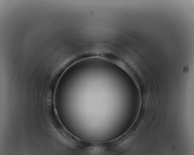 X0000089970356200707061205