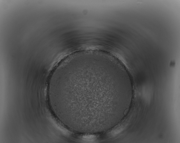 X0000089970357200707061205