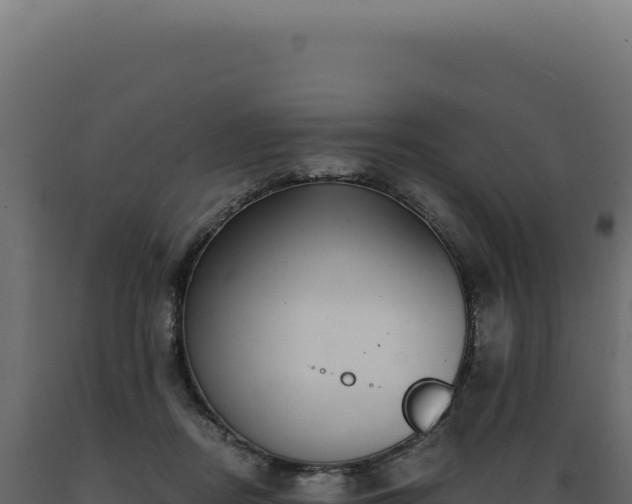 X0000089970362200707061205