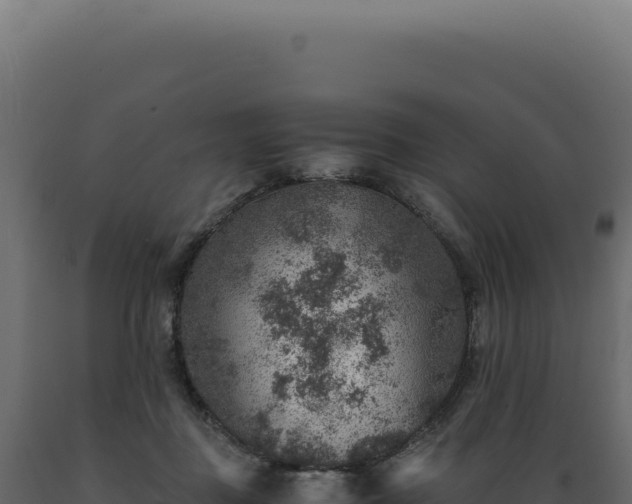 X0000089970363200707061205