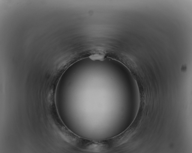 X0000089970364200707061205