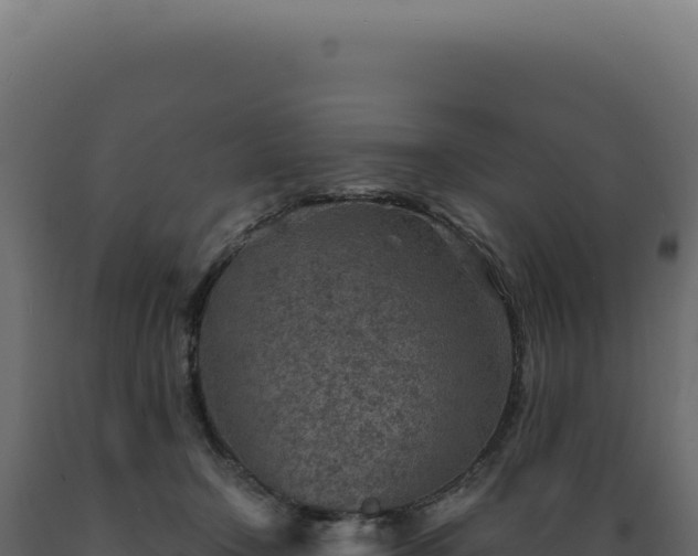 X0000089970366200707061205