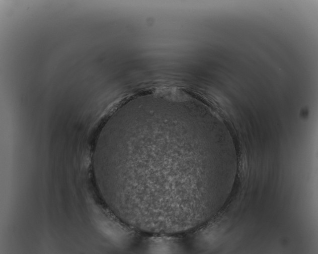 X0000089970367200707061205