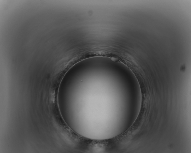 X0000089970368200707061205