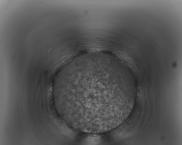 X0000089970369200707061205