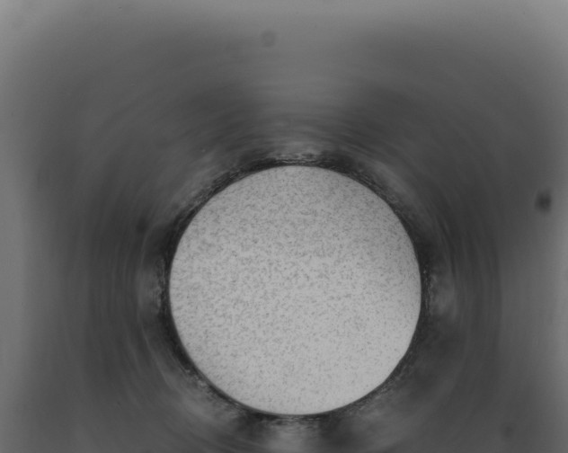 X0000089970370200707061205