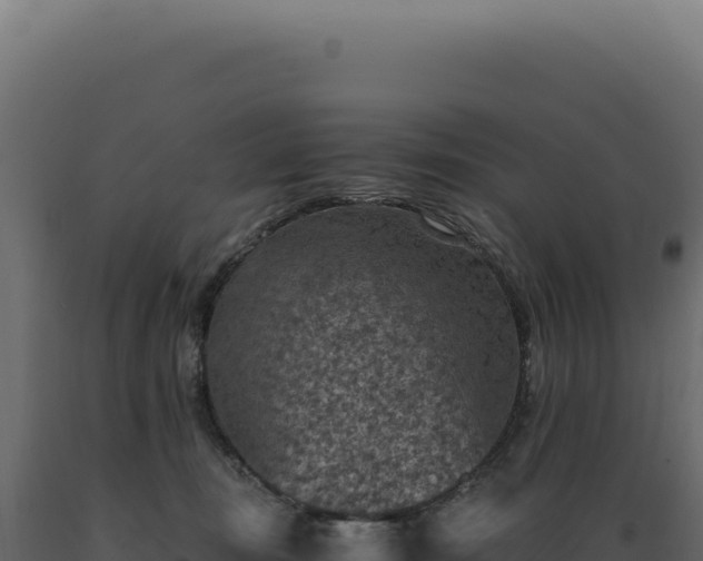 X0000089970371200707061205