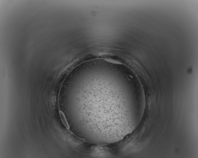 X0000089970372200707061205