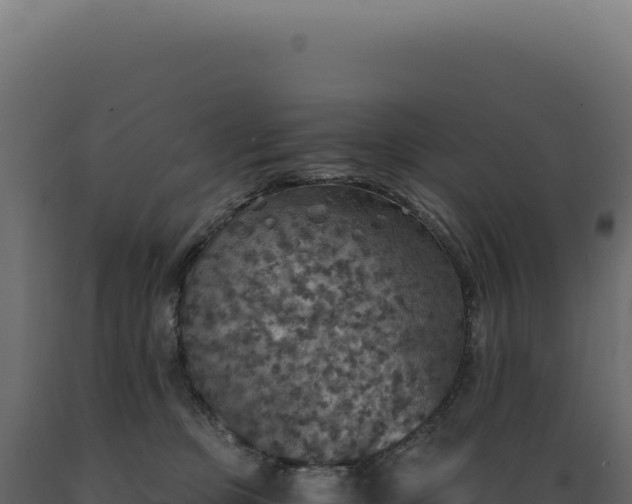 X0000089970373200707061205