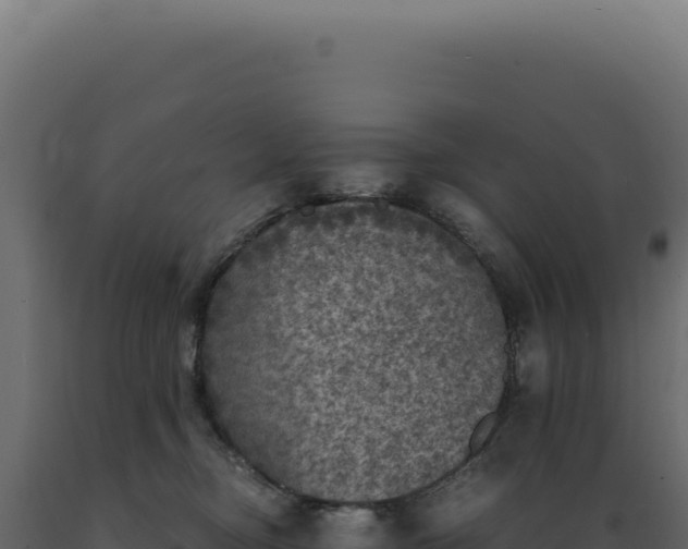 X0000089970374200707061205