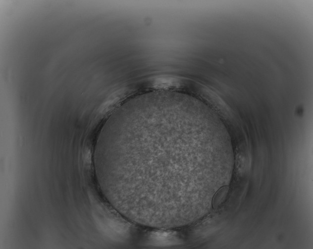 X0000089970375200707061205
